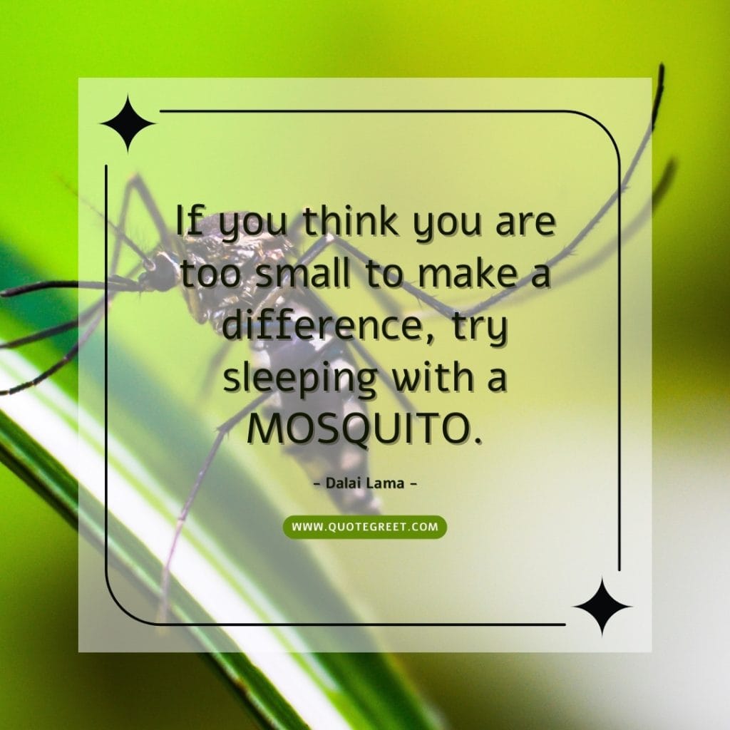 dalai-lama-quotes-mosquito-quote-inspirational-motivational-positivity-image-aesthetic