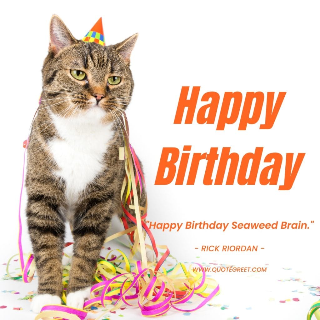 funny-happy-birthday-quotes-cat-quote-humor-hilarious-musculine-white-background-pet-man-quote