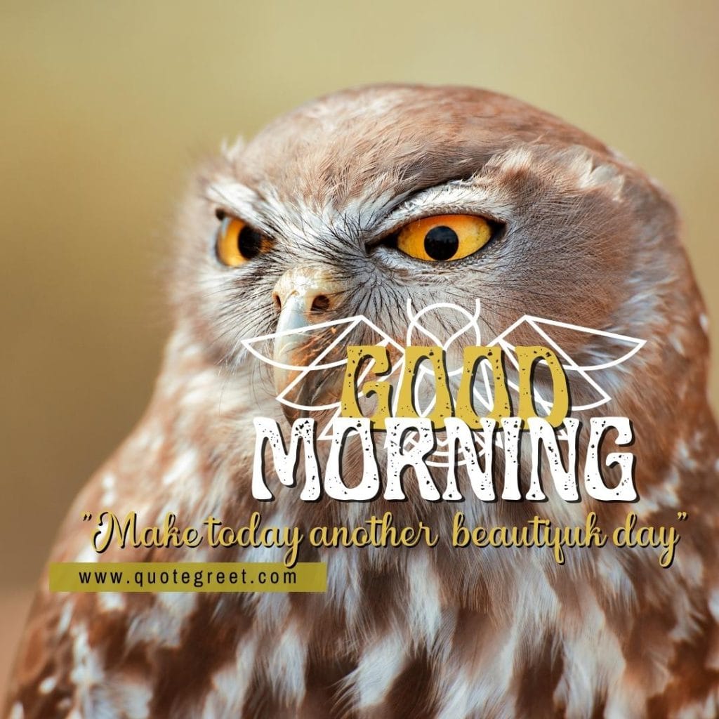 good-morning-beautiful-owl-sitting-on-tree-branch-nature-bird