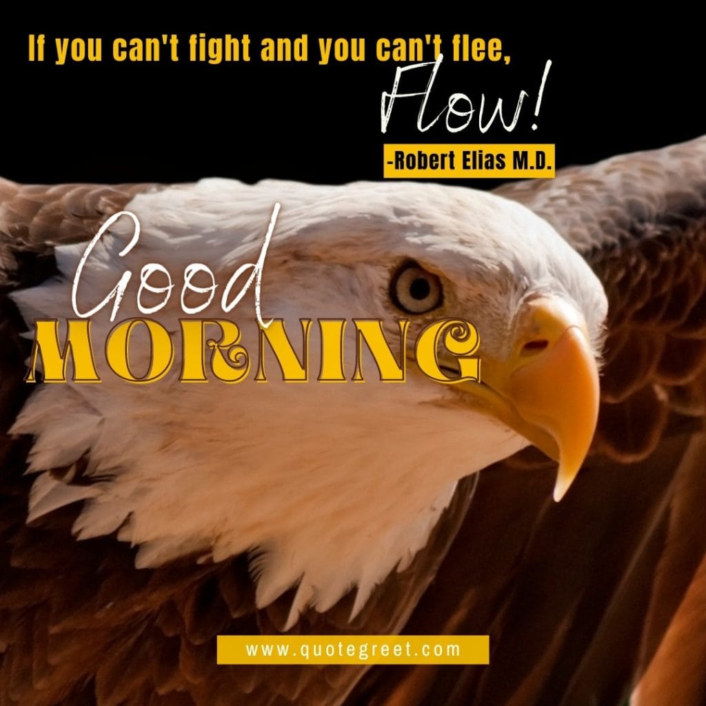 good-morning-quotes-inpiring-motivational-encouraging-positive-inspirational-flying-eagle-bird-deep-short-image-pic-gud-picture-photo