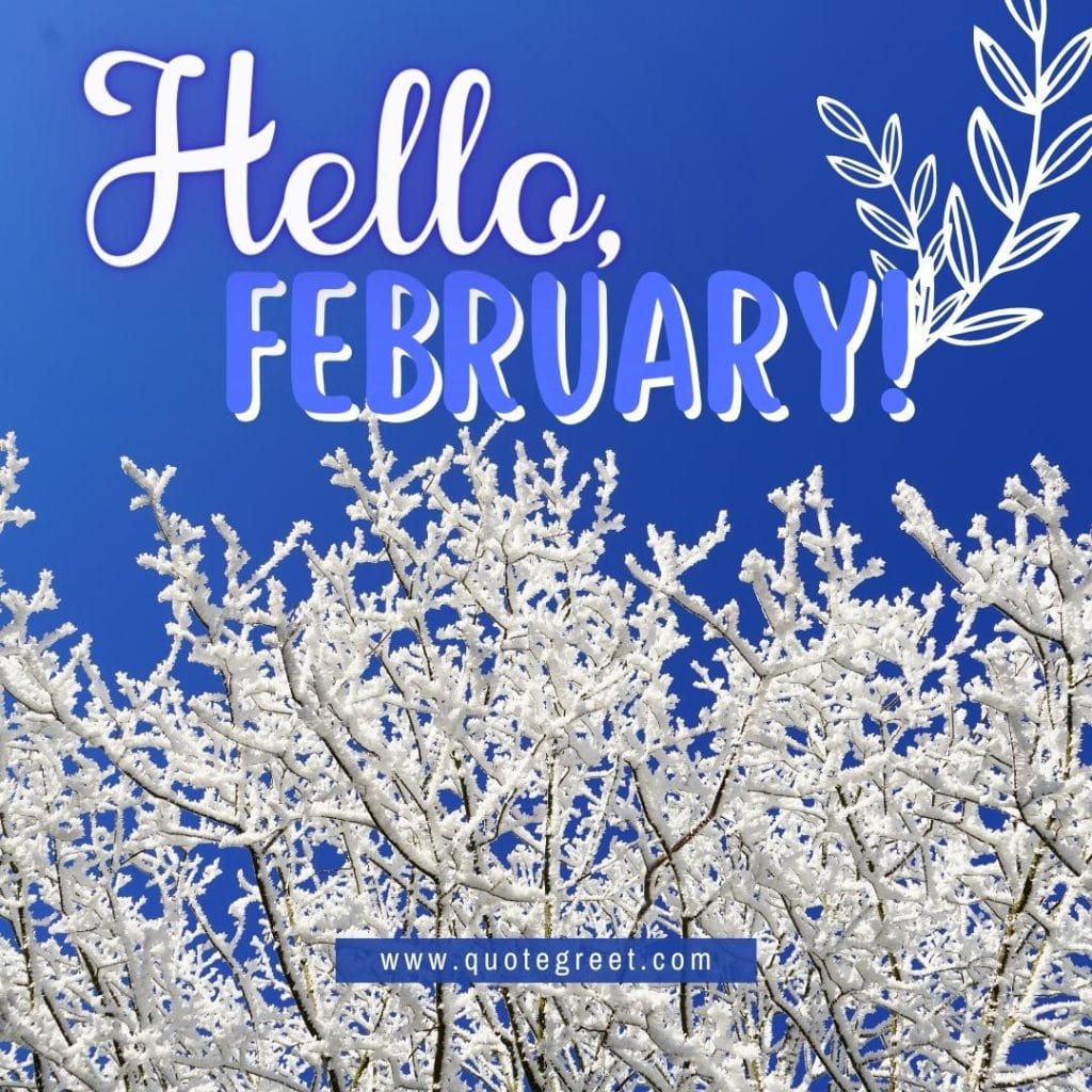 hello-february-with-blue-white-branches-image-pic-picture