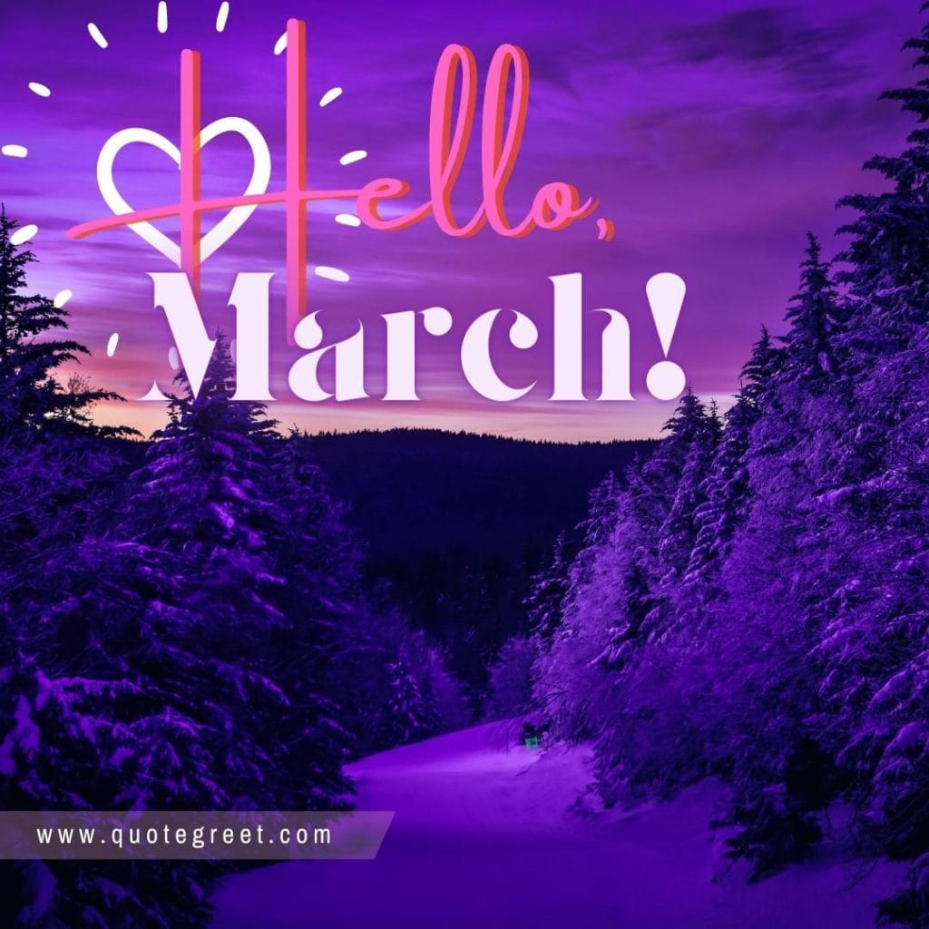 purple-hello-march-purple-winter-image-pic-picture-photo