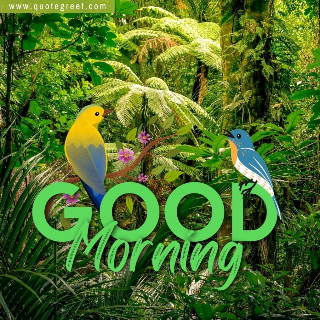 jungle-orest-image-with-good-morning-cute-trees-greenery-green-birds-nature-natural-scenery-scenic-pic-picture-gud-wild-wilderness