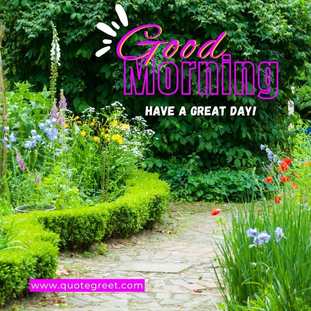 garden-good-morning-have-a-great-day-greenery-beautiful-park-landscape-scenic-scenery-nature-natural-pic-gud-image-photo-picture