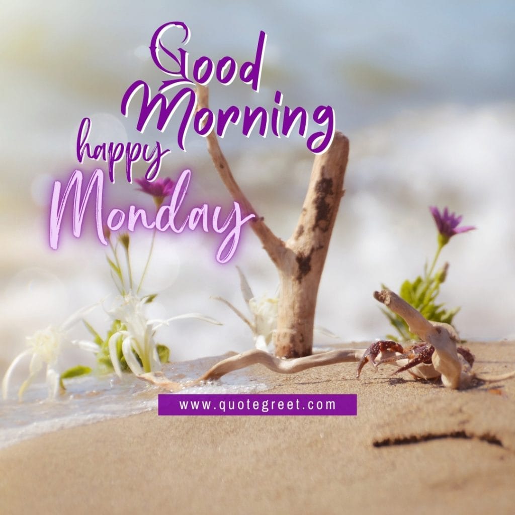 good-morning-hello-monday-cute-purple-flowers-flower-tropical