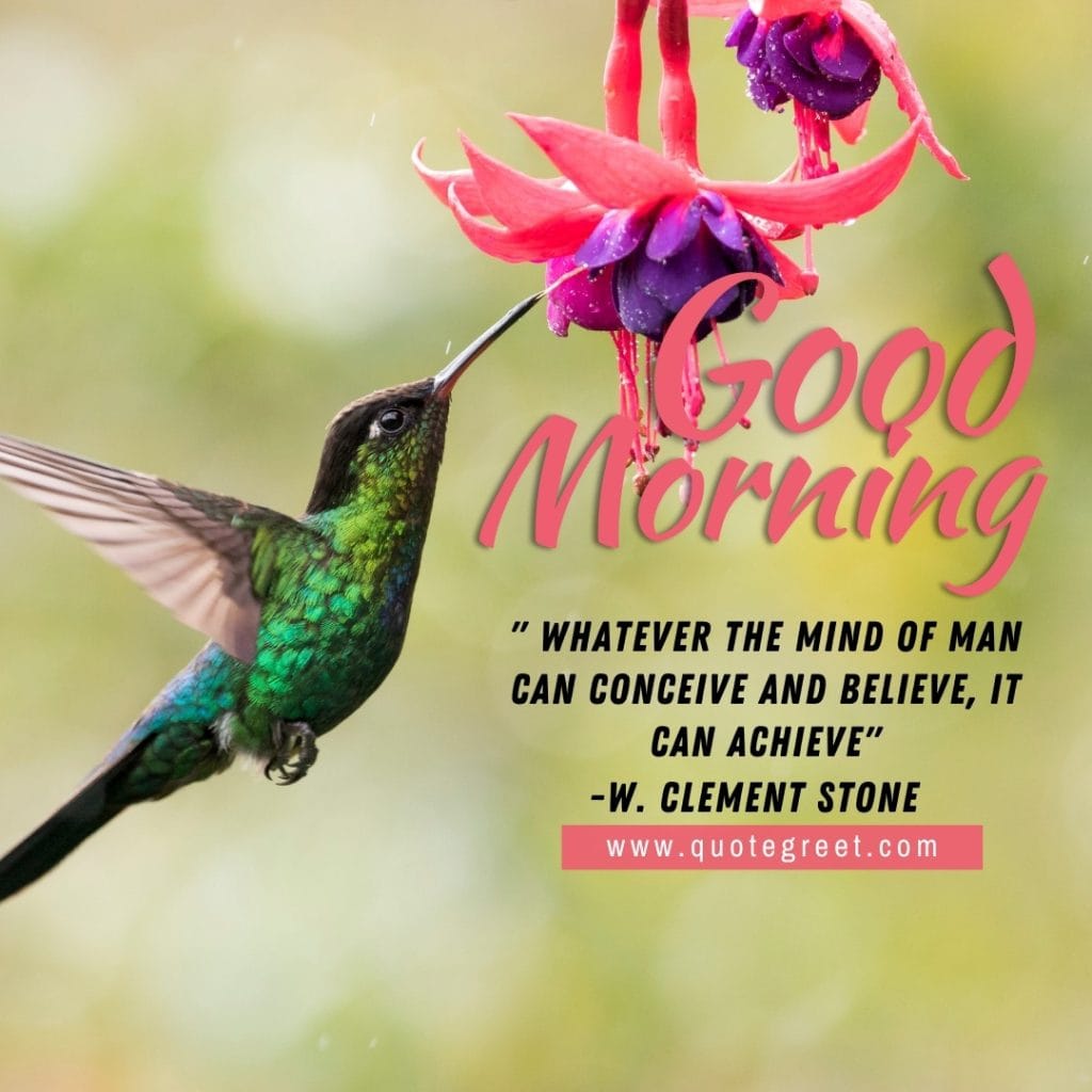 inspirational-good-morning-quote-green-hummingbird-motivational-positive-quotes-short-deep-bird-picture-pic-photo-image