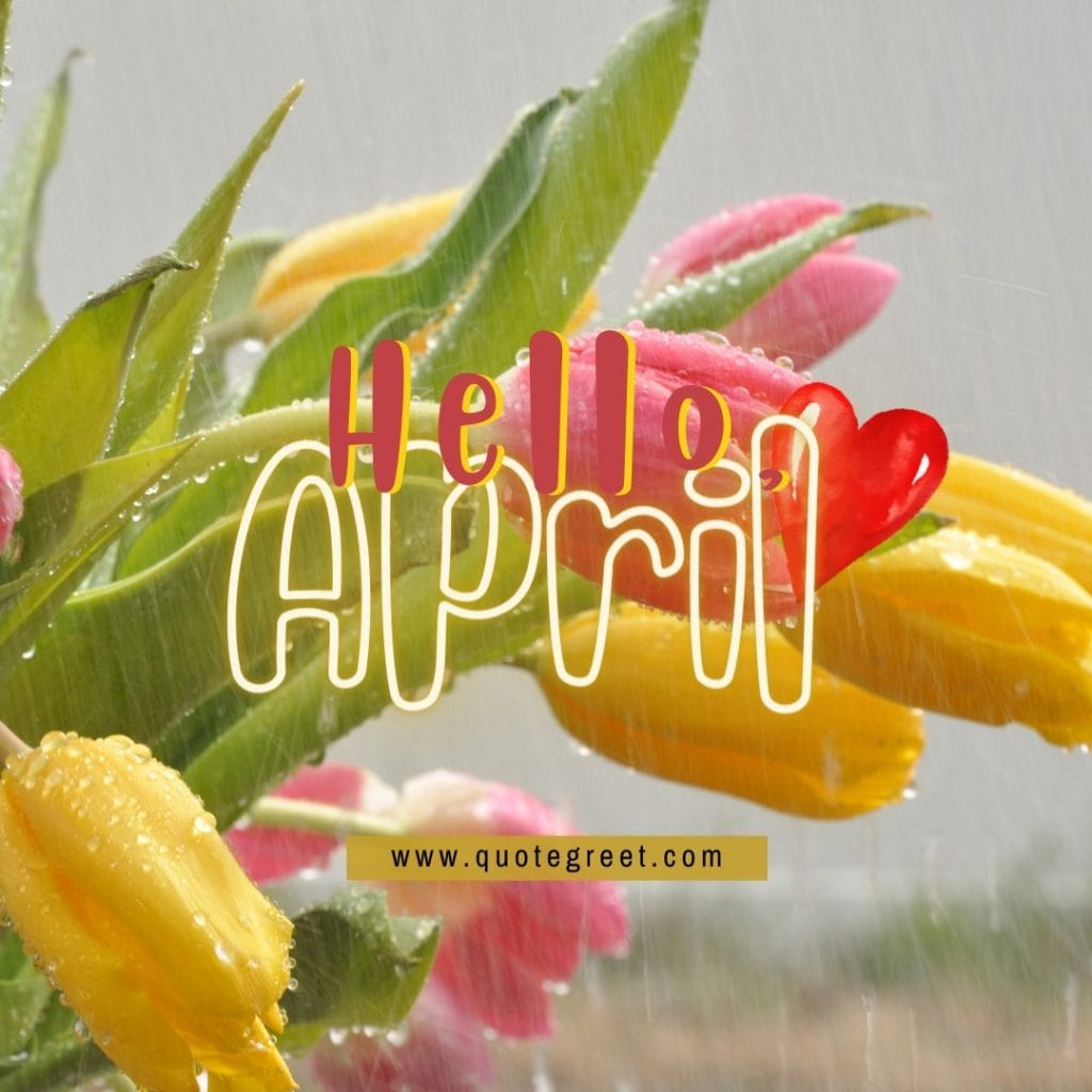 hello-april-rain-tulip-flowers-yellow-red-tulips-cute-amazing-image-picture-pic-photo