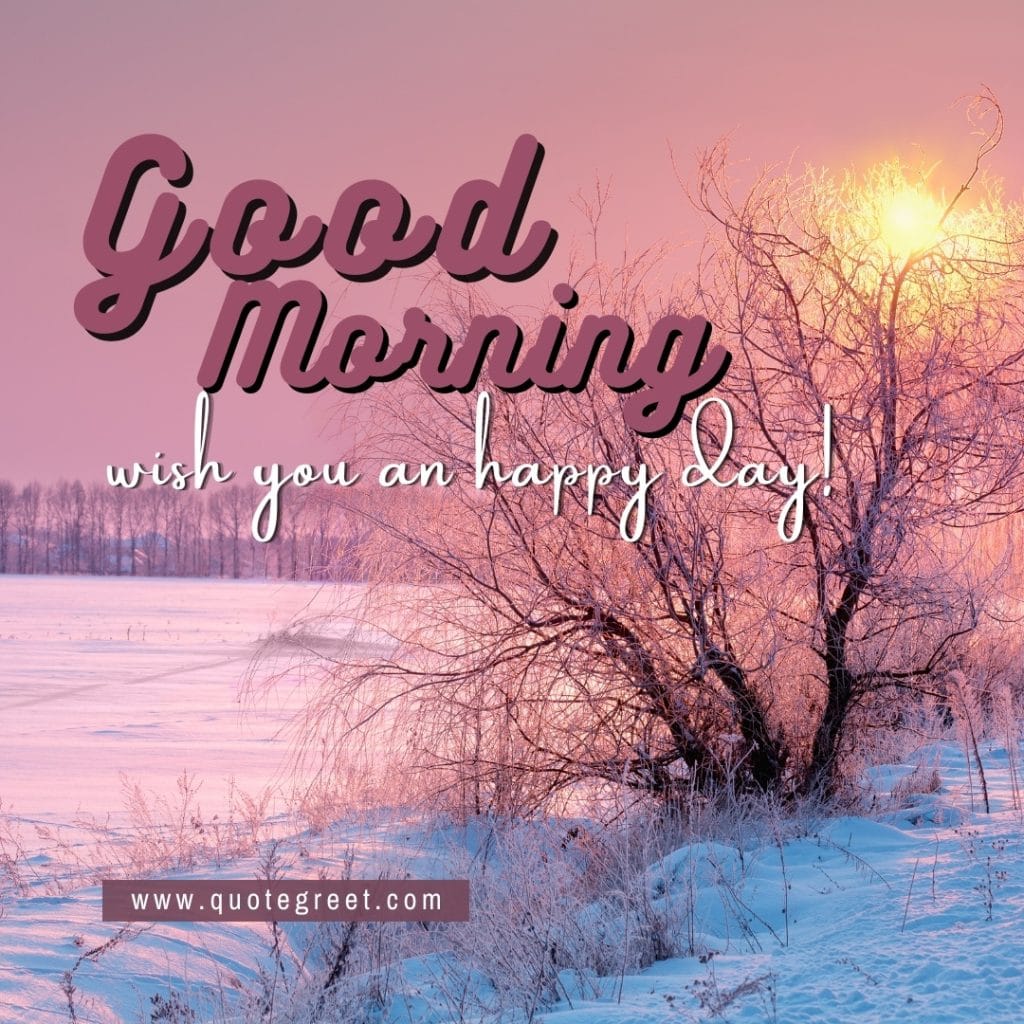 sunrise-winter-good-morning-wish-you-a-happy-day-snow-dusty-pink-beautiful-trees-nature-natural-landscape-pic-gud-image-picture-photo