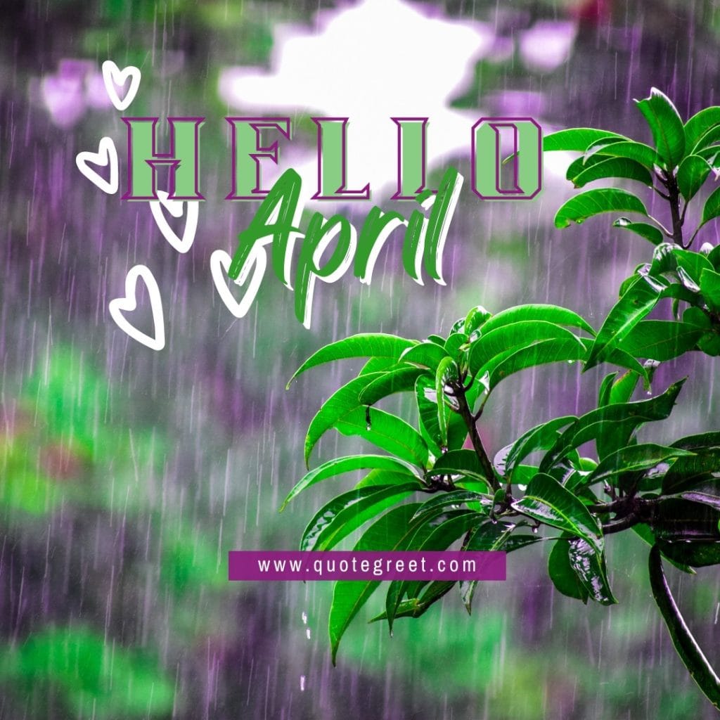 hello-april-rain-tree-cute-amazing-image-picture-pic-photo