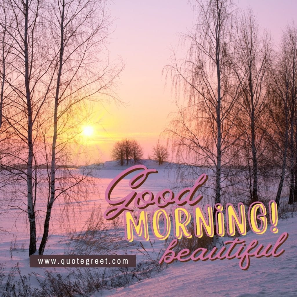 sunrise-winter-good-morning-wish-you-a-happy-day-snow-dusty-pink-beautiful-trees--nature-natural-landscape-pic-gud-image-picture-photo