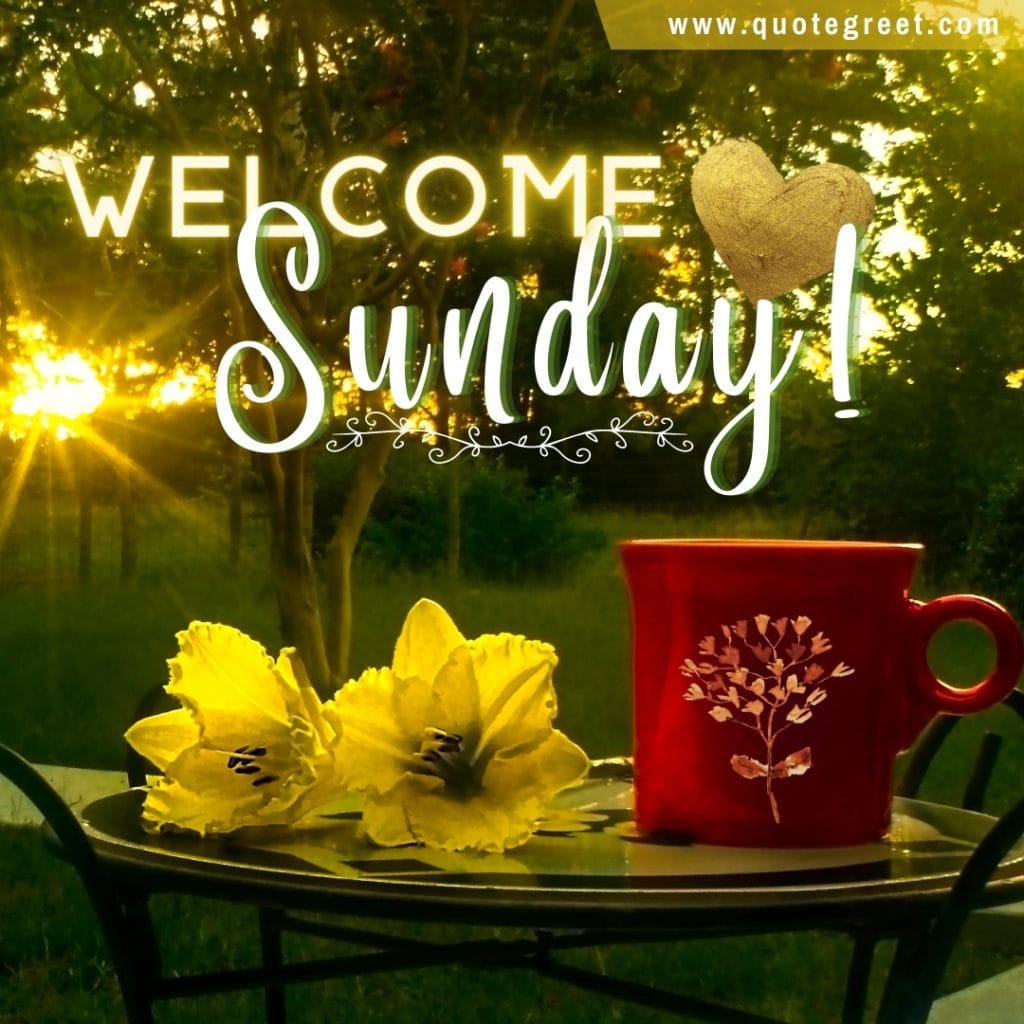 welcome-sunday-coffee-heart-mug-flowers-red-trees-cup-image-pic-picture-photo