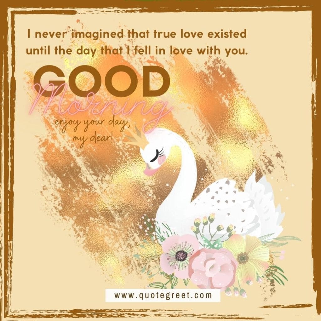 cute-watercolor-white-swan-painting-with-flowers-good-morning-gud-pic-paint-rusty