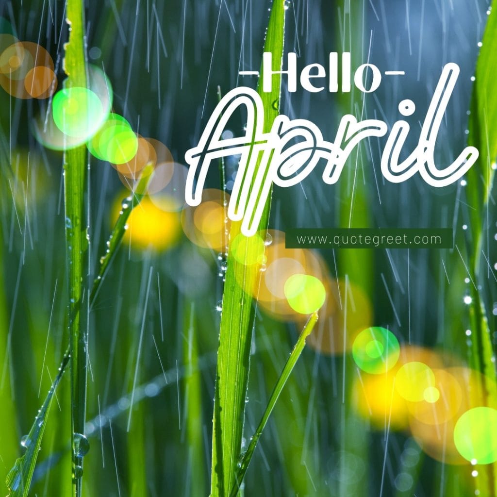 hello-april-rain-grass-cute-amazing-image-picture-pic-photo