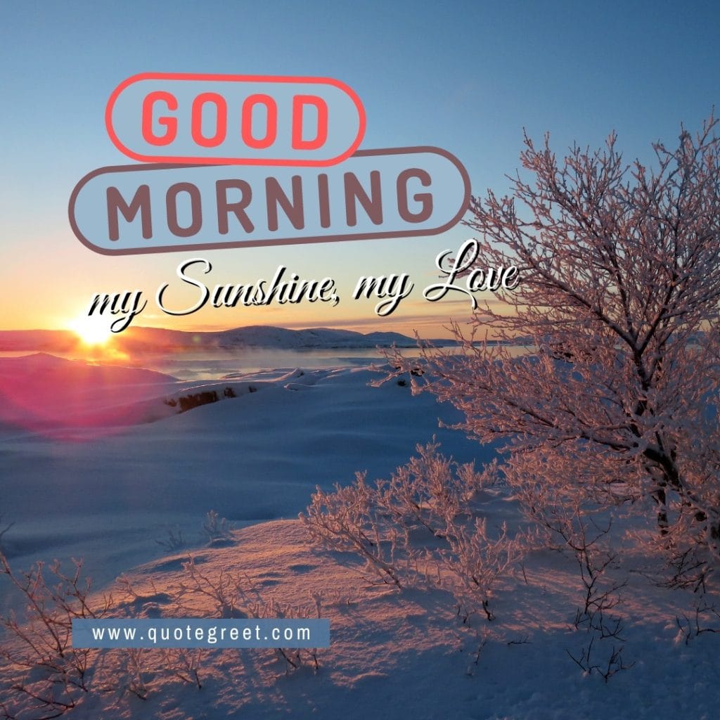 sunrise-winter-good-morning-my-sunshine-my-love-snow-beautiful-trees--nature-natural-landscape-pic-gud-image-picture-photo