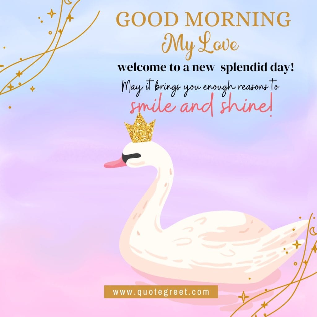 cute-white-swan-watercolor-painting-good-morning-crown-pic-gud