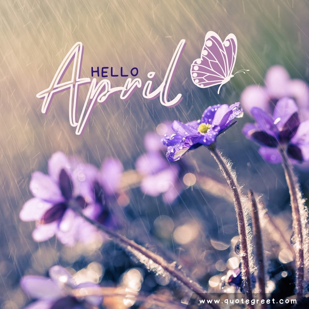 hello-april-rain-purple-flower-garden-butterfly-cute-amazing-image-picture-pic-photo