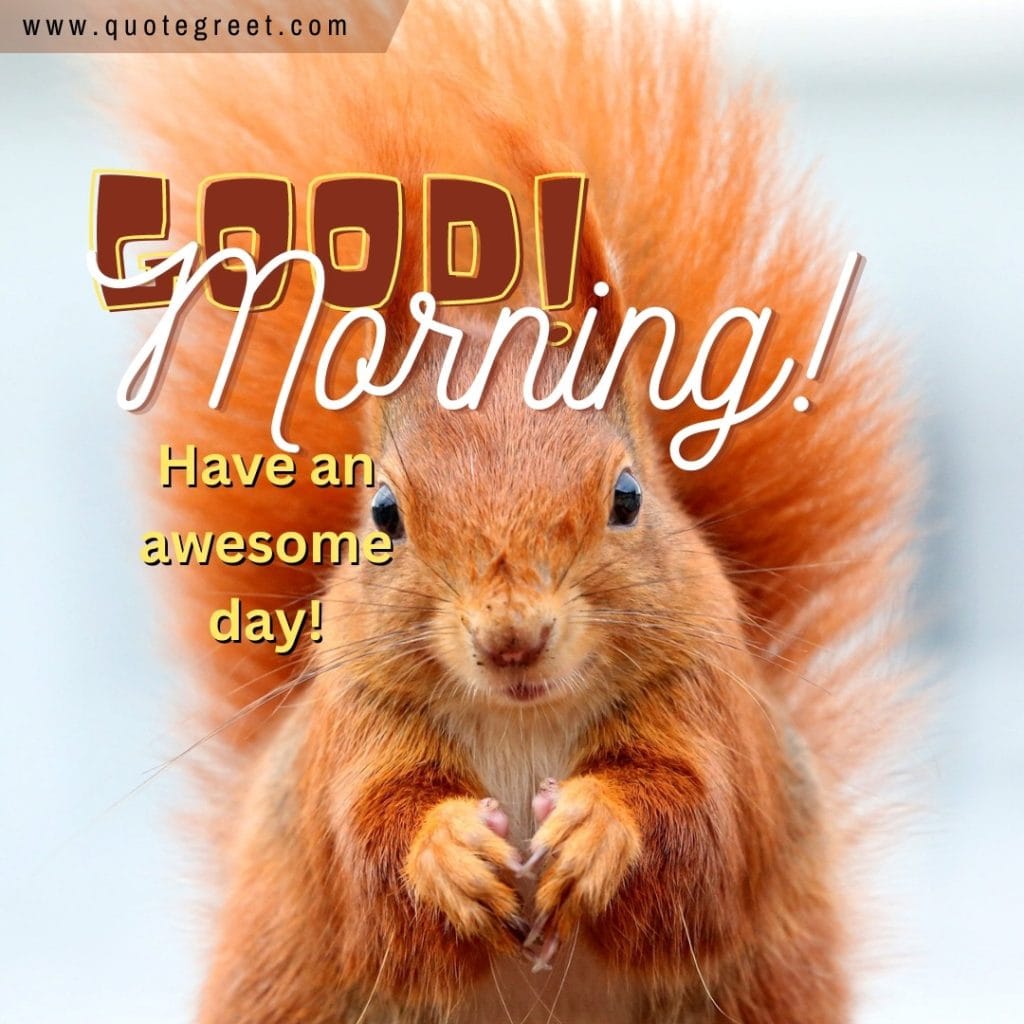 good-morning-cute-brown-squirrel-image-picture-pic-photo-gud-wish-message-blessings