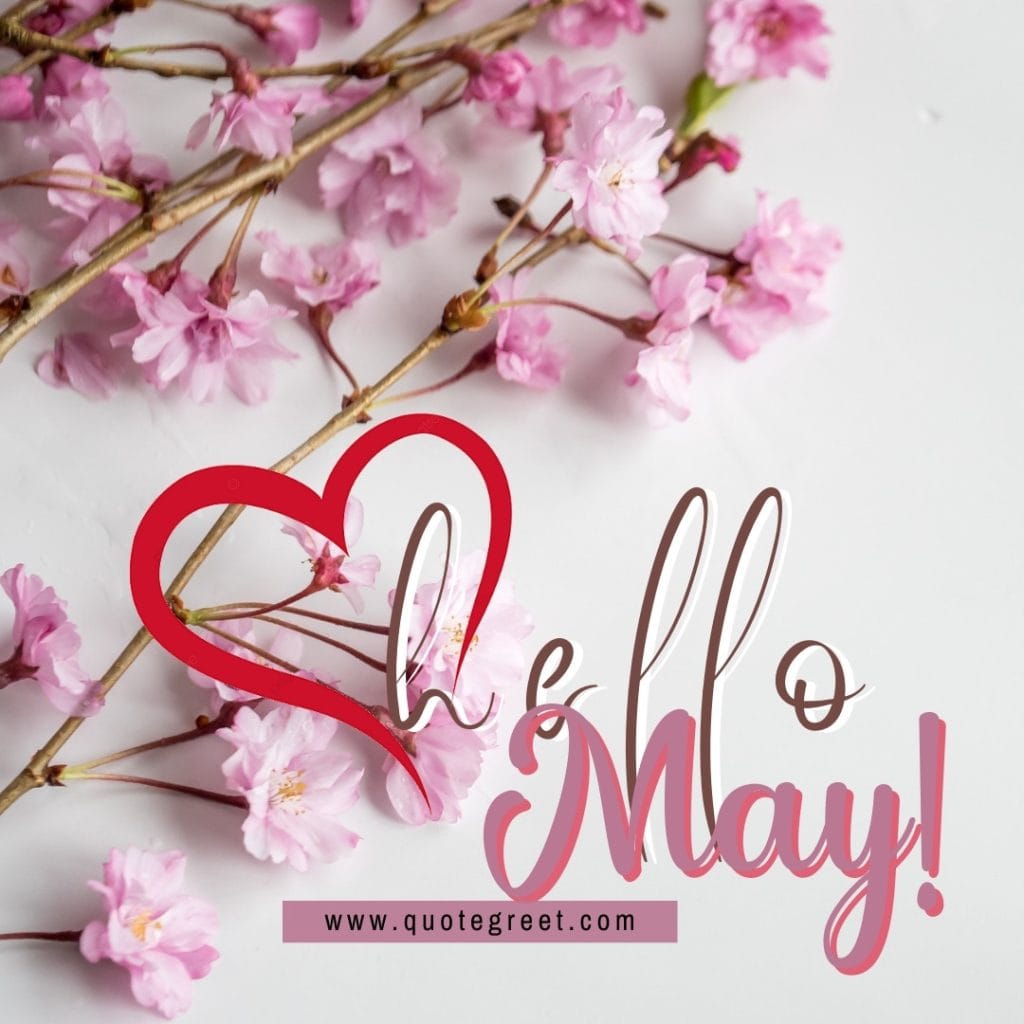 hello-may-pink-flowers-floral-heart-cute-image-pic-picture-photo