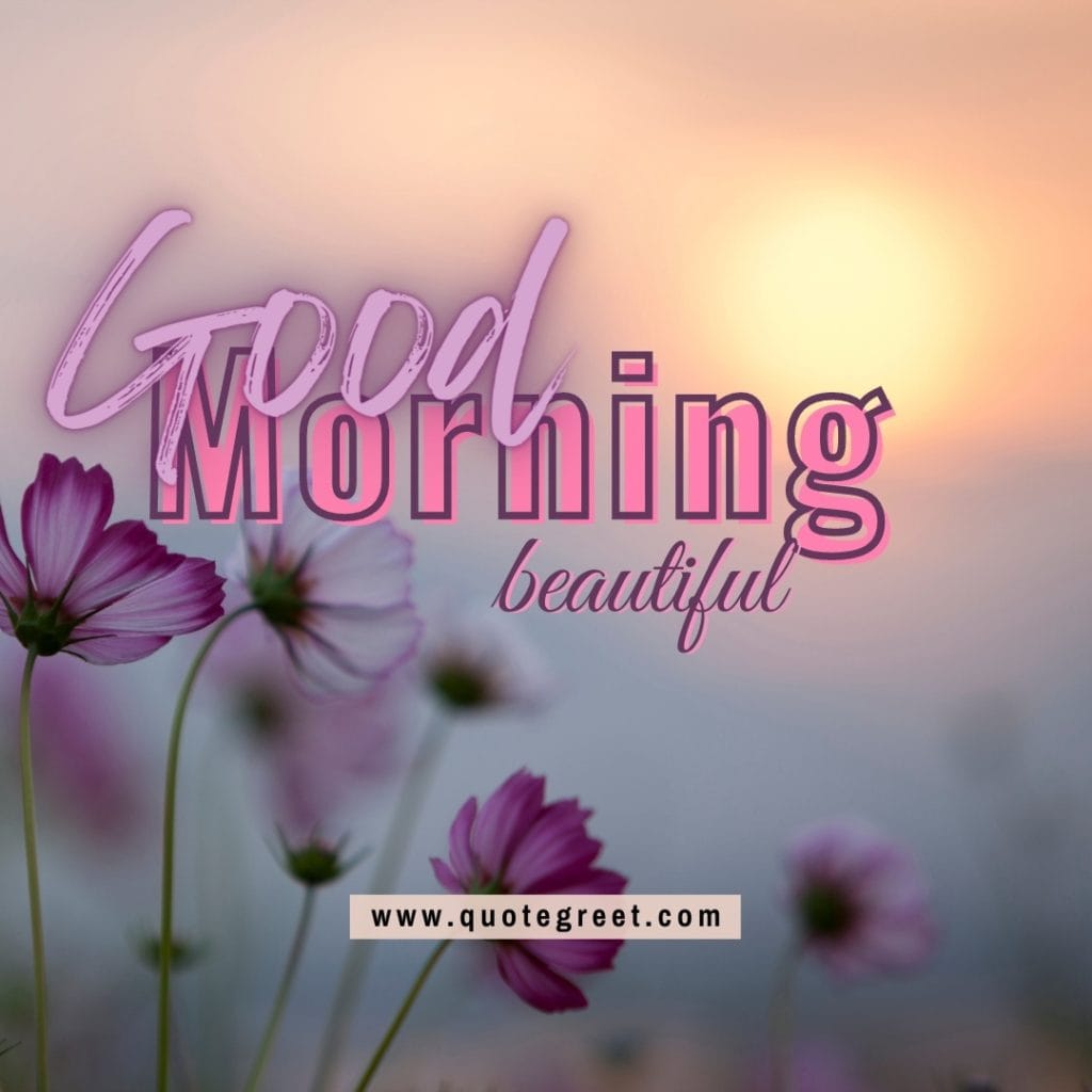 good-moring-beautiful-sunrise-purple-flowers--nature-natural-landscape-pic-gud-image-picture-photo