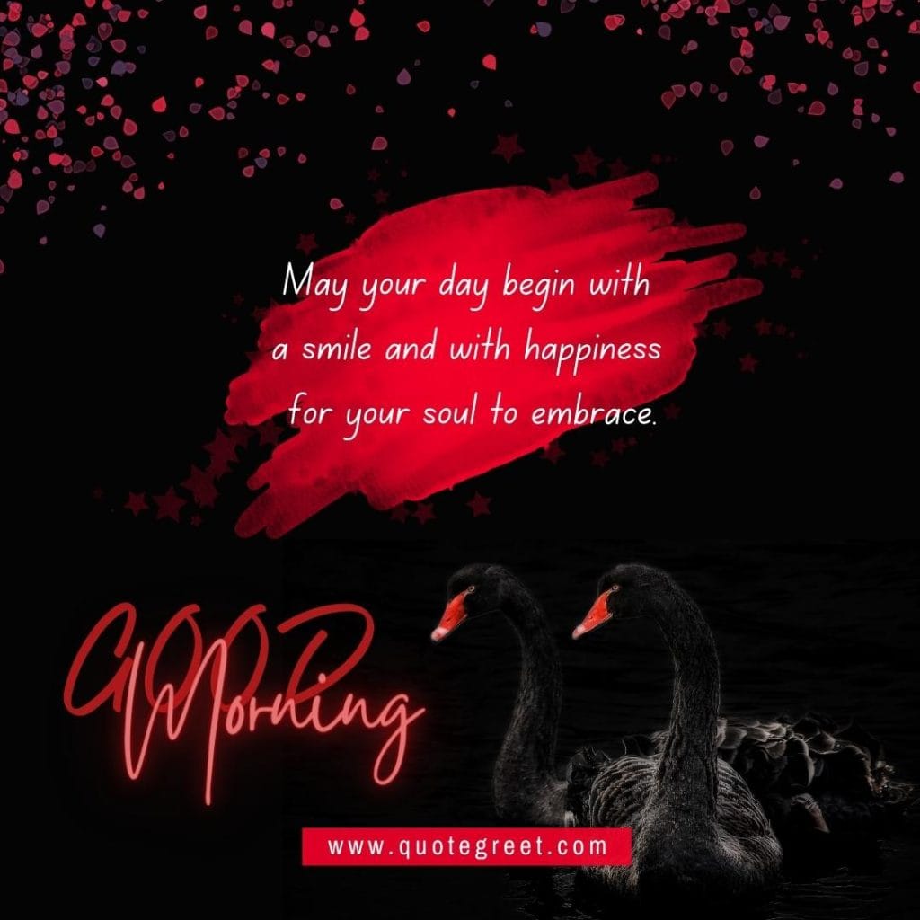 cute-good-morning-image-with-two-swans-black-swan-pic-gud-red