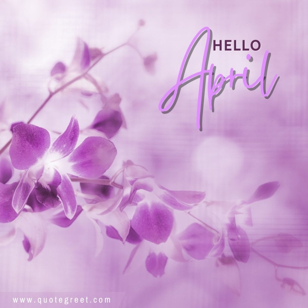 -purplr-orchid-hello-april-flower-flowers-cute-amazing-image-picture-pic-photo