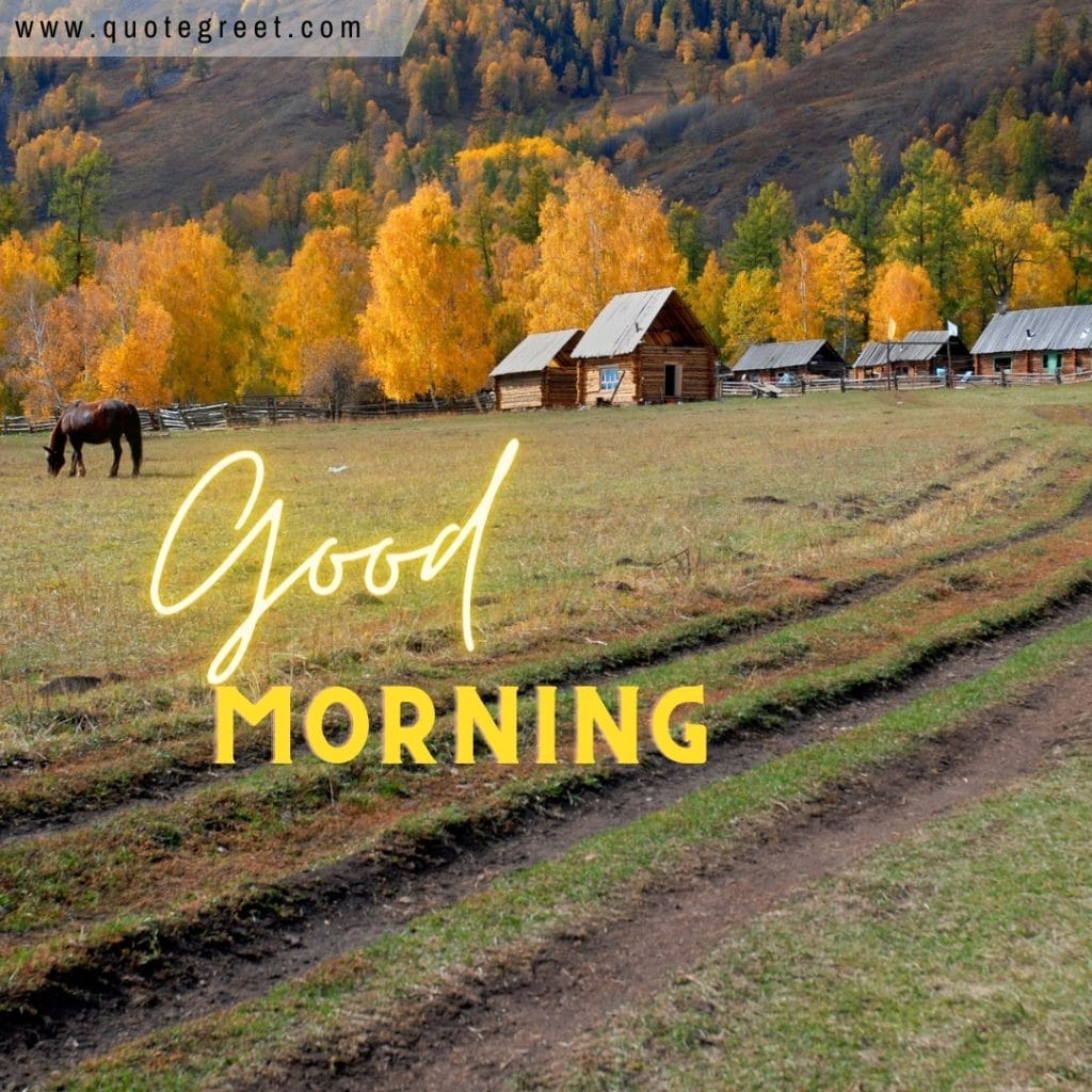 good-morning-village-life-image-huts-cottage-houses-animals-wishes-messages-pic-picture-gud