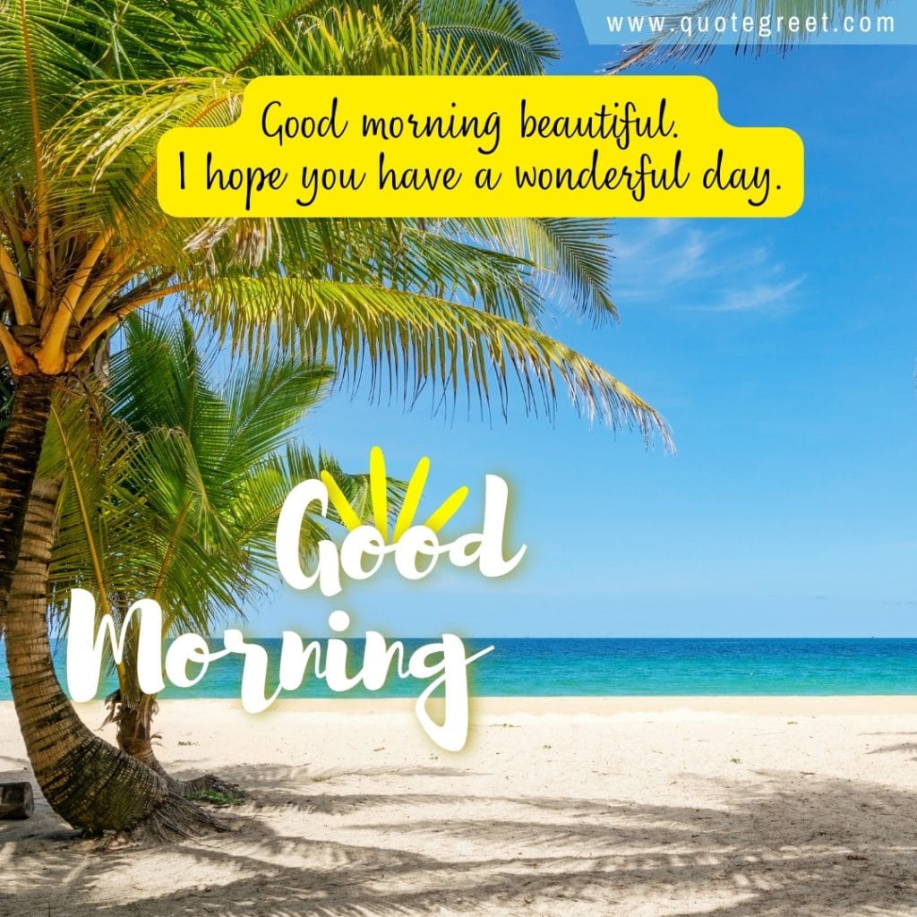 good-morning-beach-palm-trees-sunny-blue-white-sand-wishes-greeitngs-message-maldives-nature-natural-pic-gud-image-picture-photo