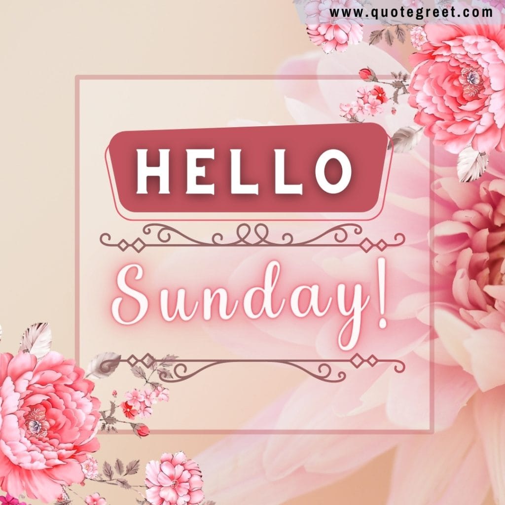 cute-hello-sunday-pink-flowers-floral-frame-modern-aesthetic-image-pic-picture-photo