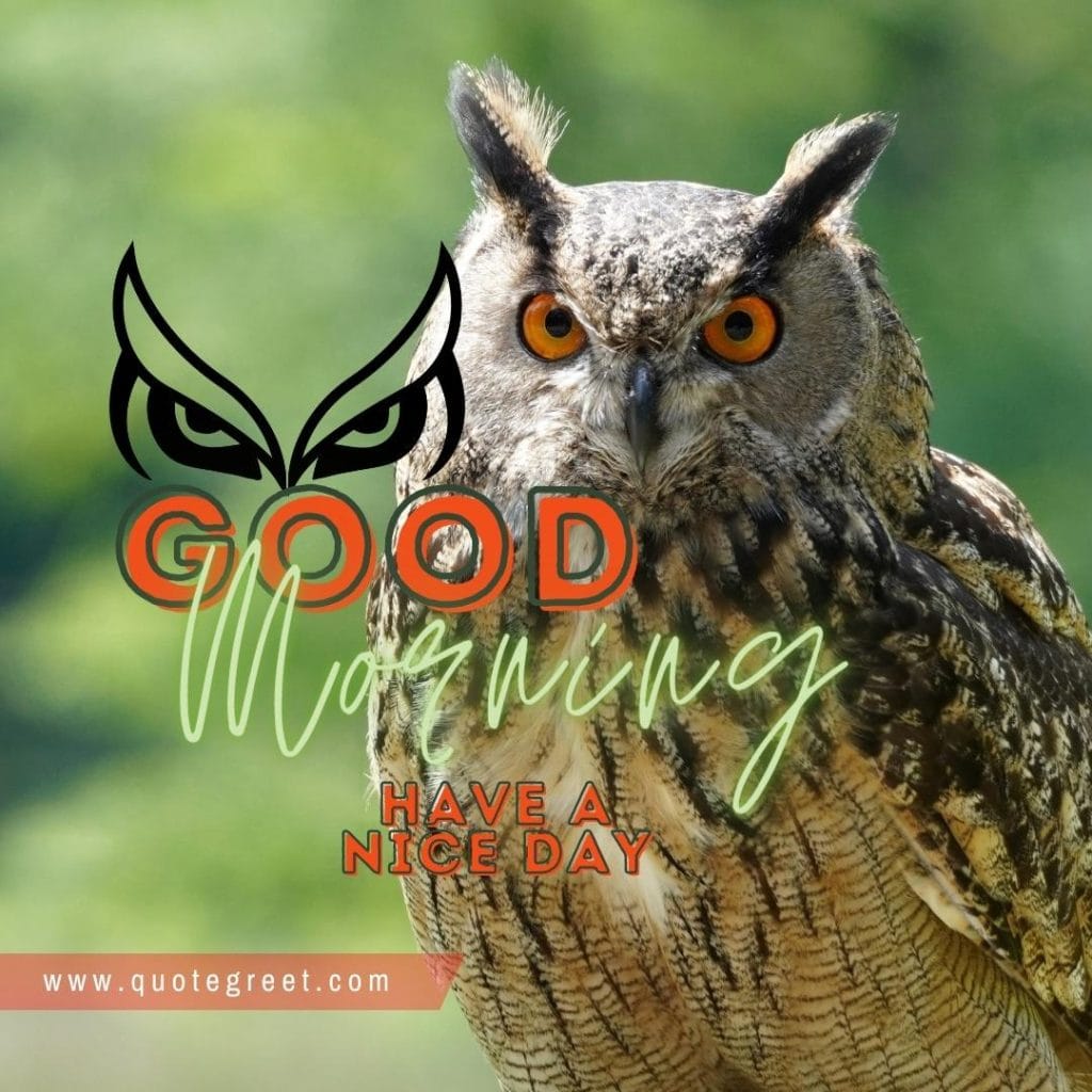 exotic-bird-owl-with-good-morning-nature-green