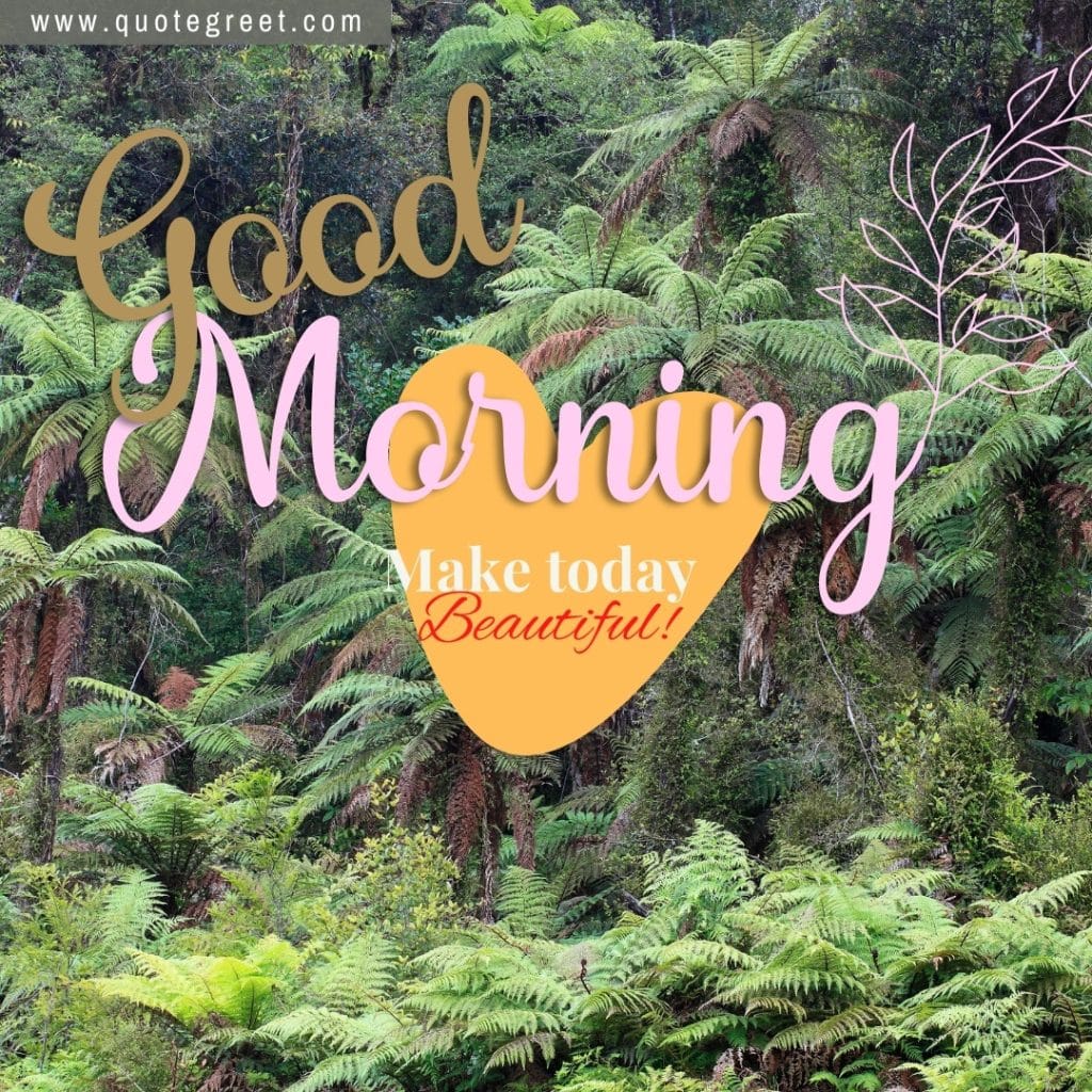 -good-morning-forest-image-trees-deep-green-nature-natural-scenery-scenic-pic-picture-gud-hd