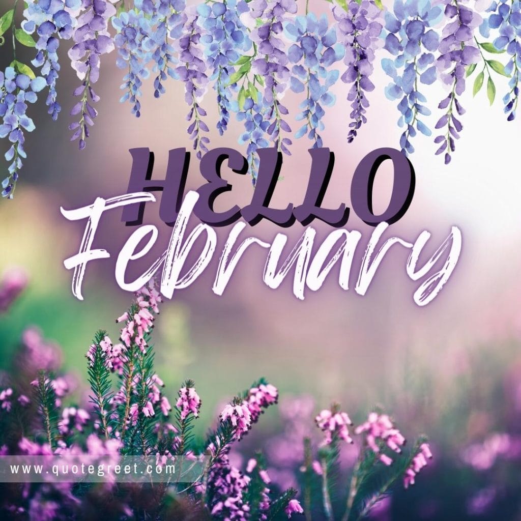 hello-february-with-purple-flower-lavender-garden-image-pic-picture