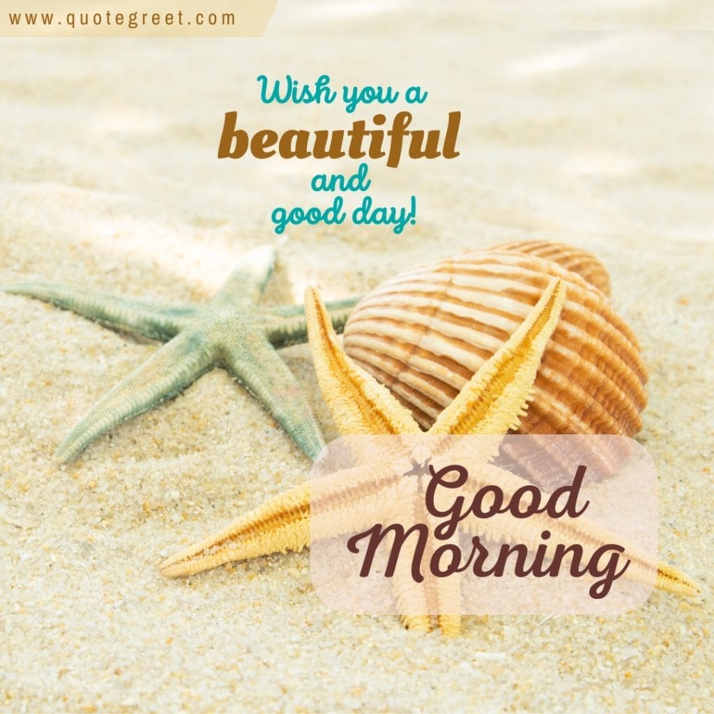 good-morning-beach-starfish-seashells-sand-wishes-beautiful-day-nature-natural-pic-gud-image-picture-photo