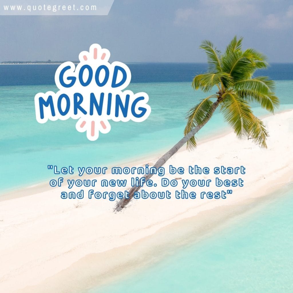 good-morning-beach-sand-bank-one-palm-tree-beautiful-sea-shore-white-sand-maldives-nature-natural-pic-gud-image-picture-photo