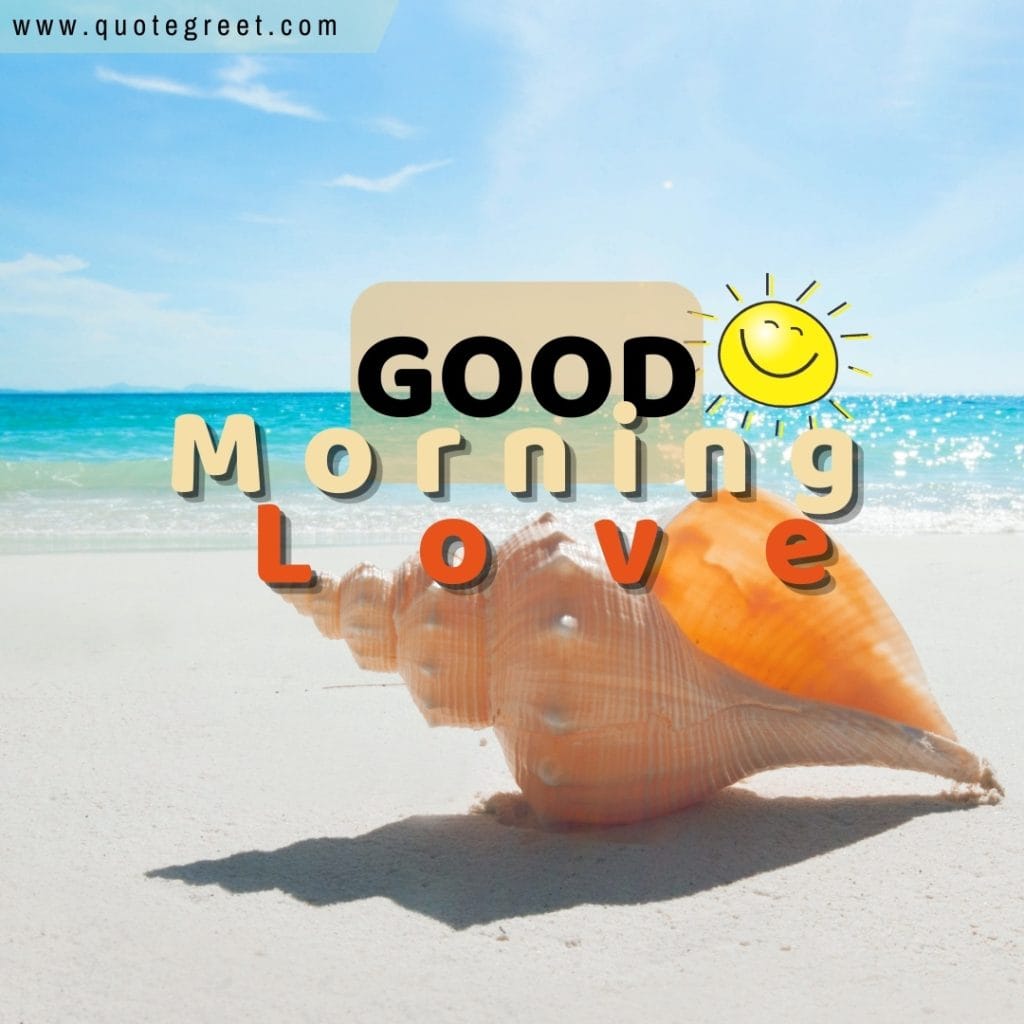 good-morning-love-beach-seashell-sunny-warm-sun-nature-natural-pic-gud-image-picture-photo