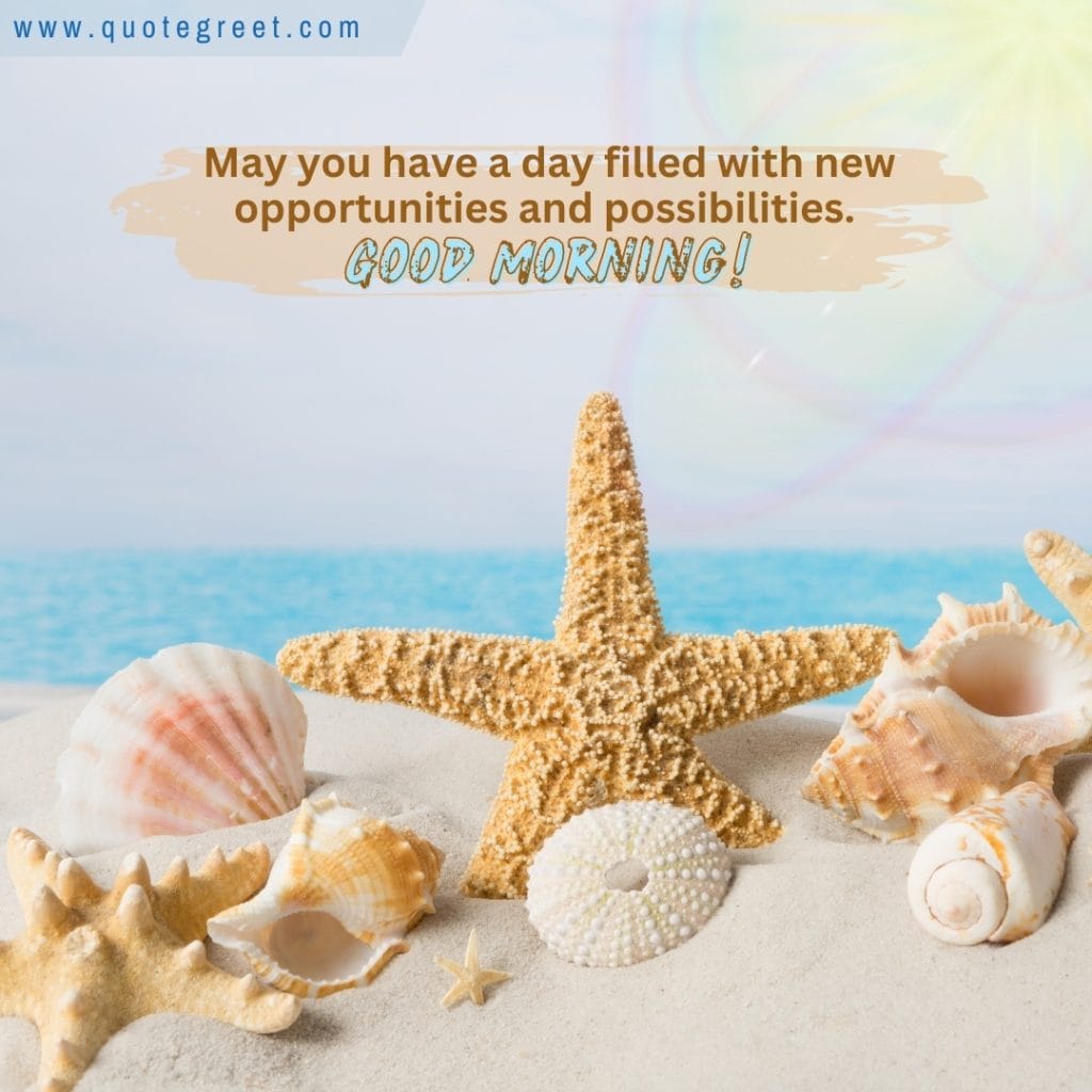 good-morning-beach-white-sand-seashellss-starfish-sunny-blue-nature-natural-pic-gud-image-picture-photo