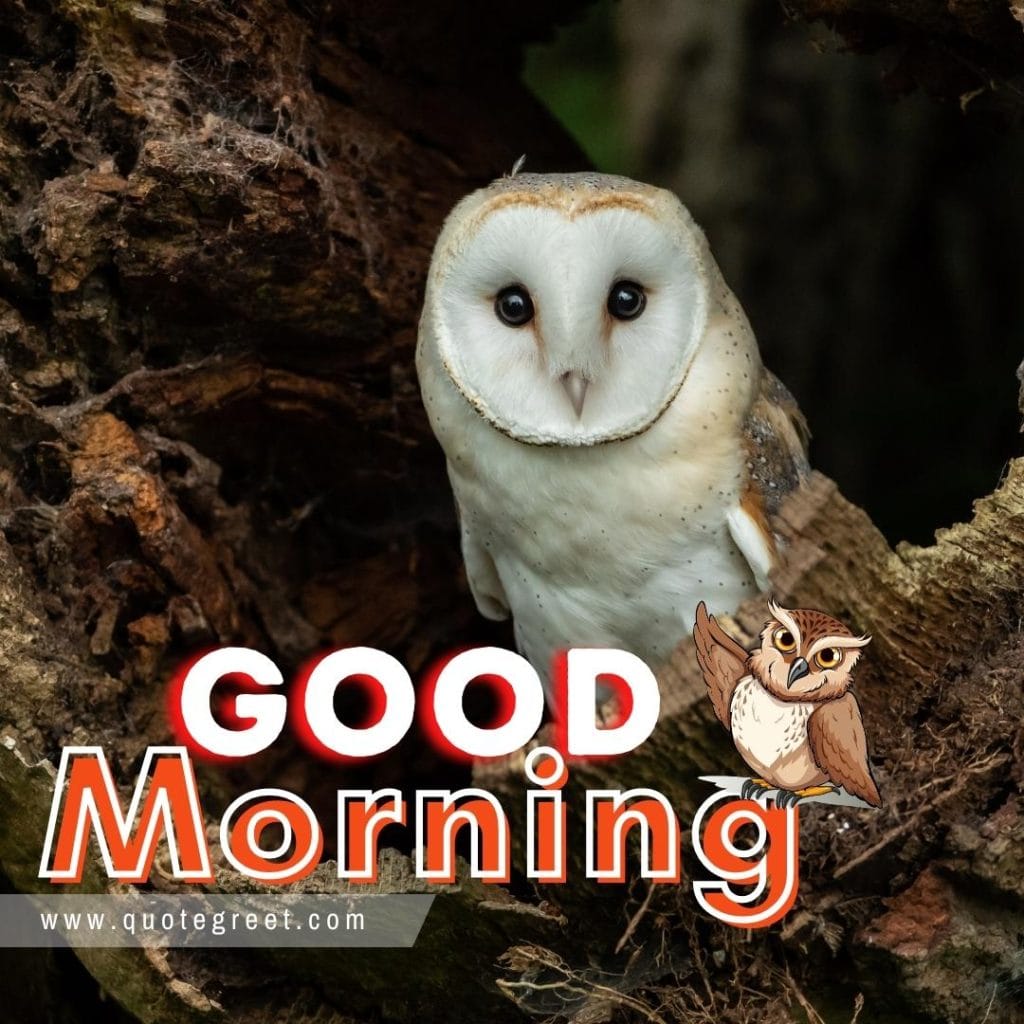 cute-owl-bird-tree-trunk-good-morning