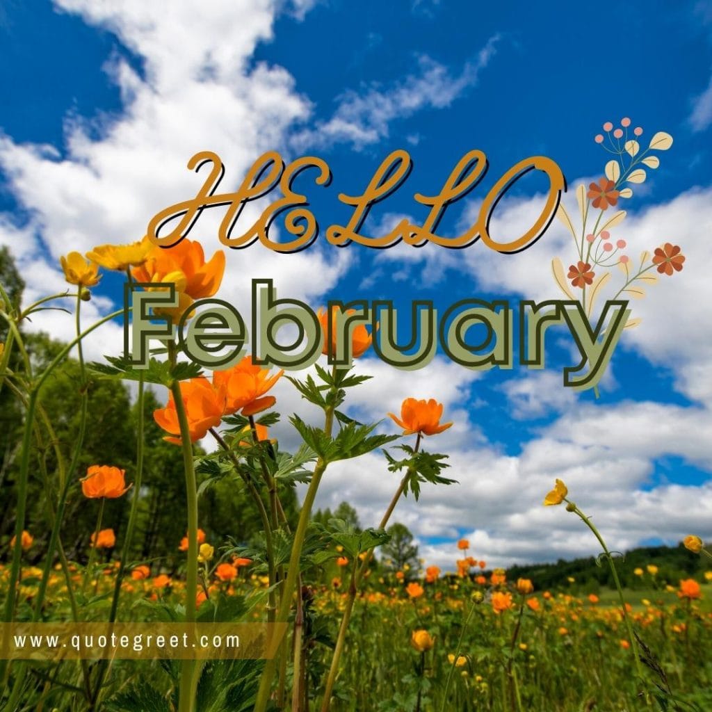 hello-february-with-sunny-blue-sky-yellow-flower-garden-image-pic-picture.