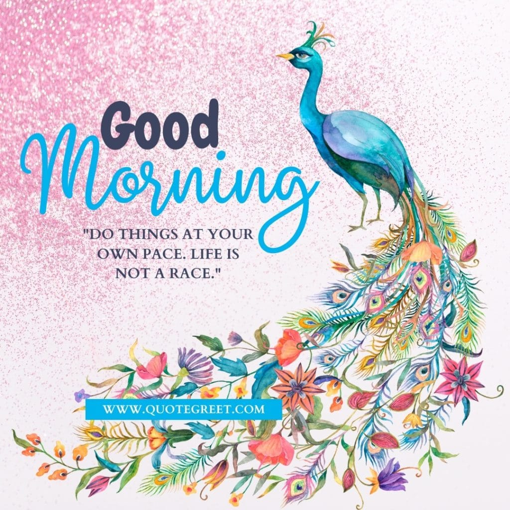 peacock-flower-mixed-good-morning-motivational-quote-with-peacock-feather-one-birds-image-modern-gliter-blue-watercolor-pic-gud-picture-photo