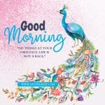 peacock-flower-mixed-good-morning-quote-with-peacock-feather-one-birds-image-modern-gliter-blue-watercolor-pic-gud-picture-photo