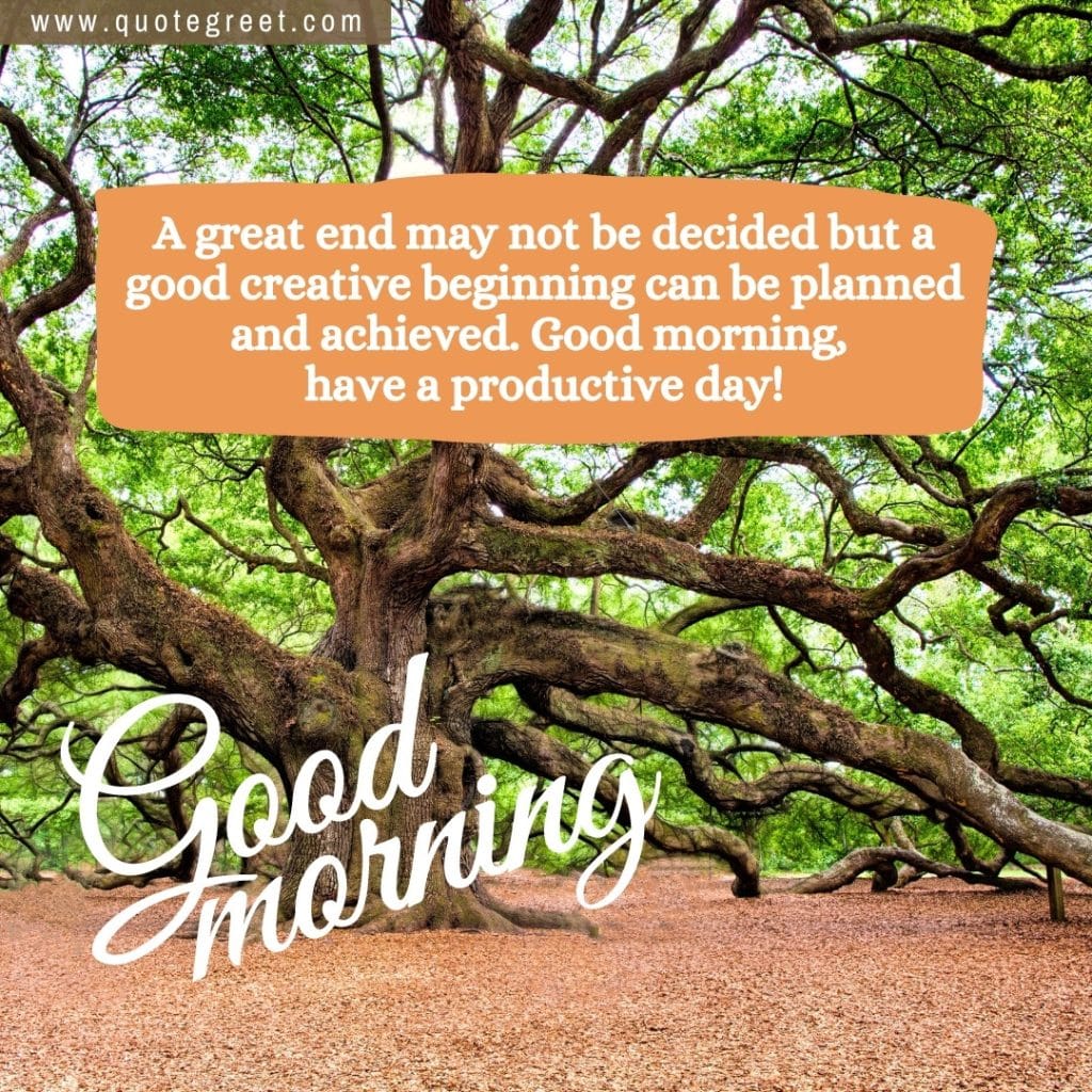 beautiful-wild-tree-forest-image-with-good-morning-cute-trees-greenery-green-nature-natural-scenery-scenic-pic-picture-gud