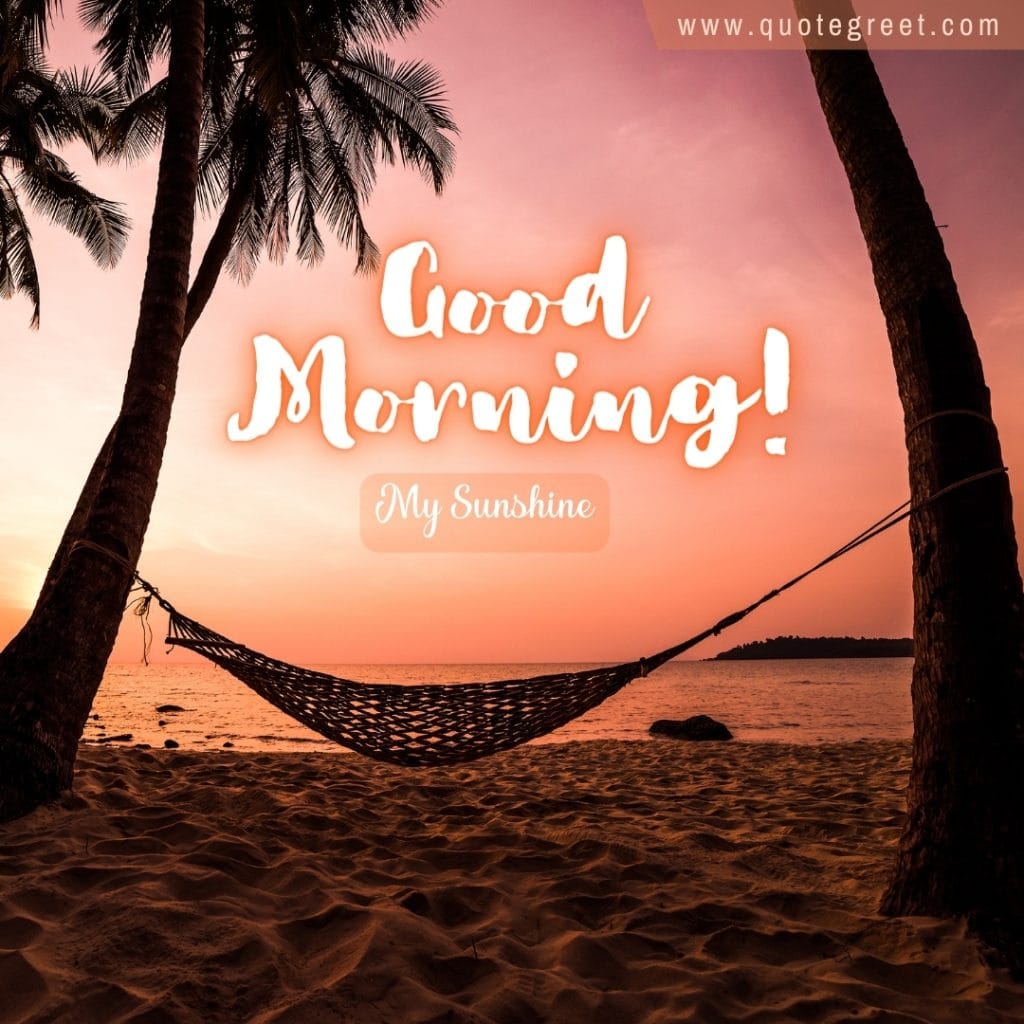 sunrise-beach--good-morning-sunshine-hammock-palm-trees-island-romantic-nature-natural-pic-gud-image-picture-photo