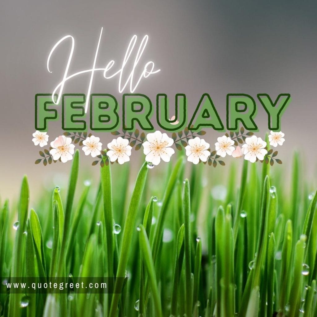 hello-february-with-white-flower-green-grass-image-pic-picture