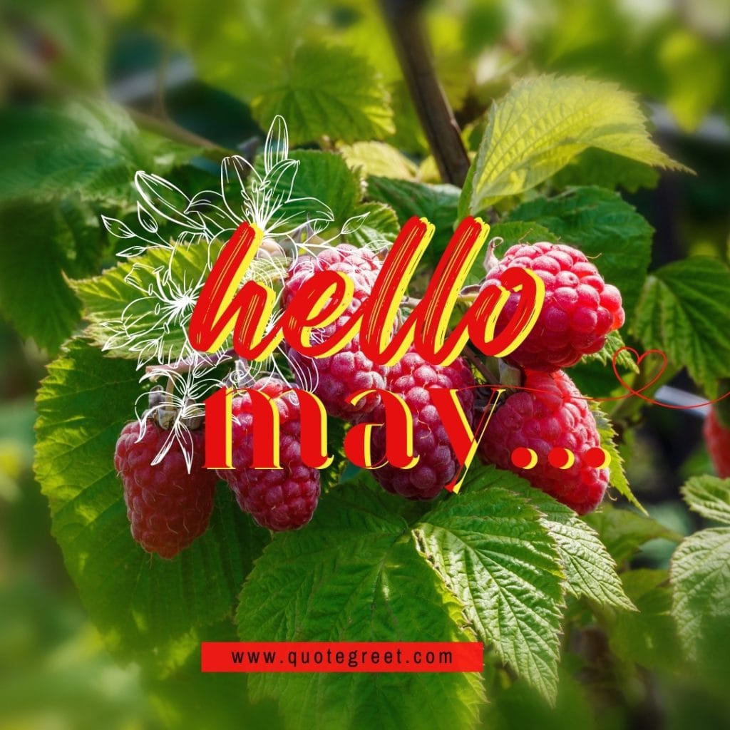 hello-may-fresh-berries-tree-nature-green-image-pic-picture-photo-natural