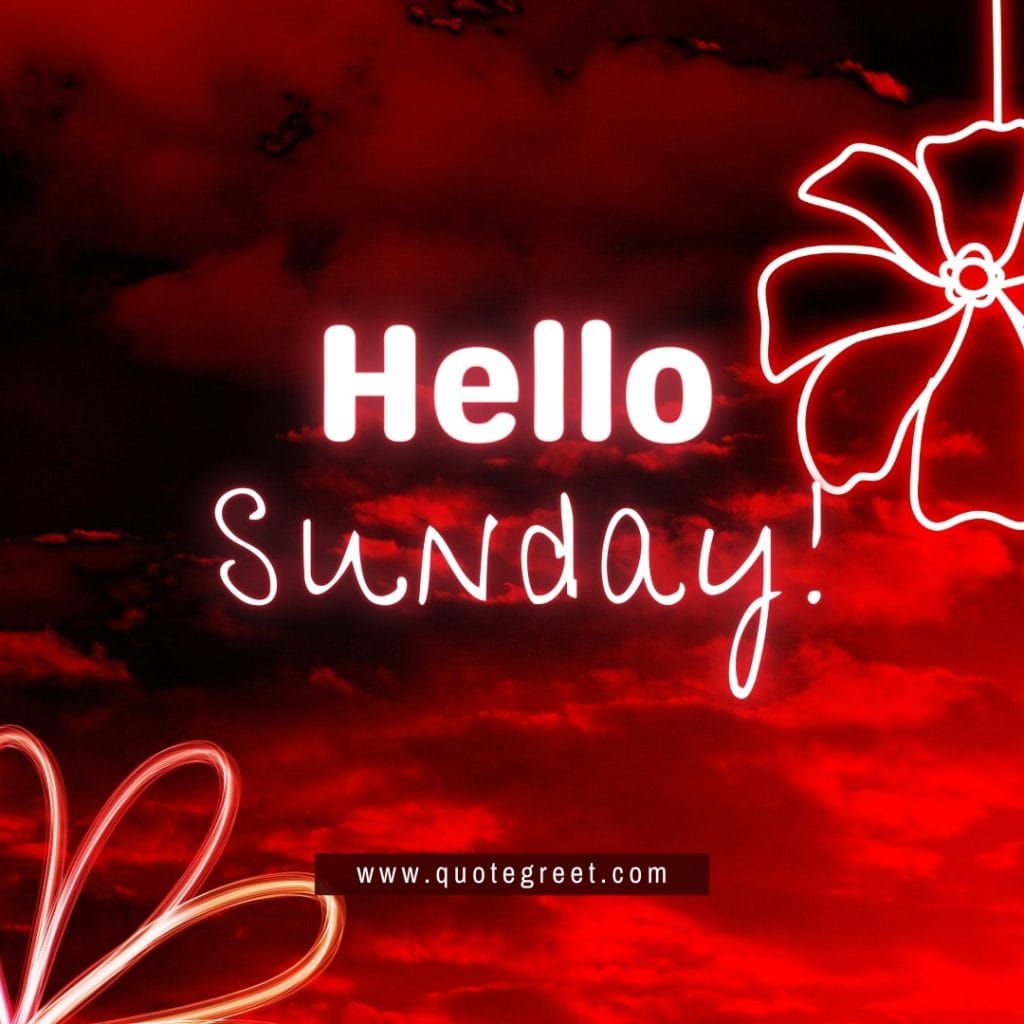 red-hello-sunday-deep-neon-flower-aesthetic-aesthetic-image-pic-picture-photo