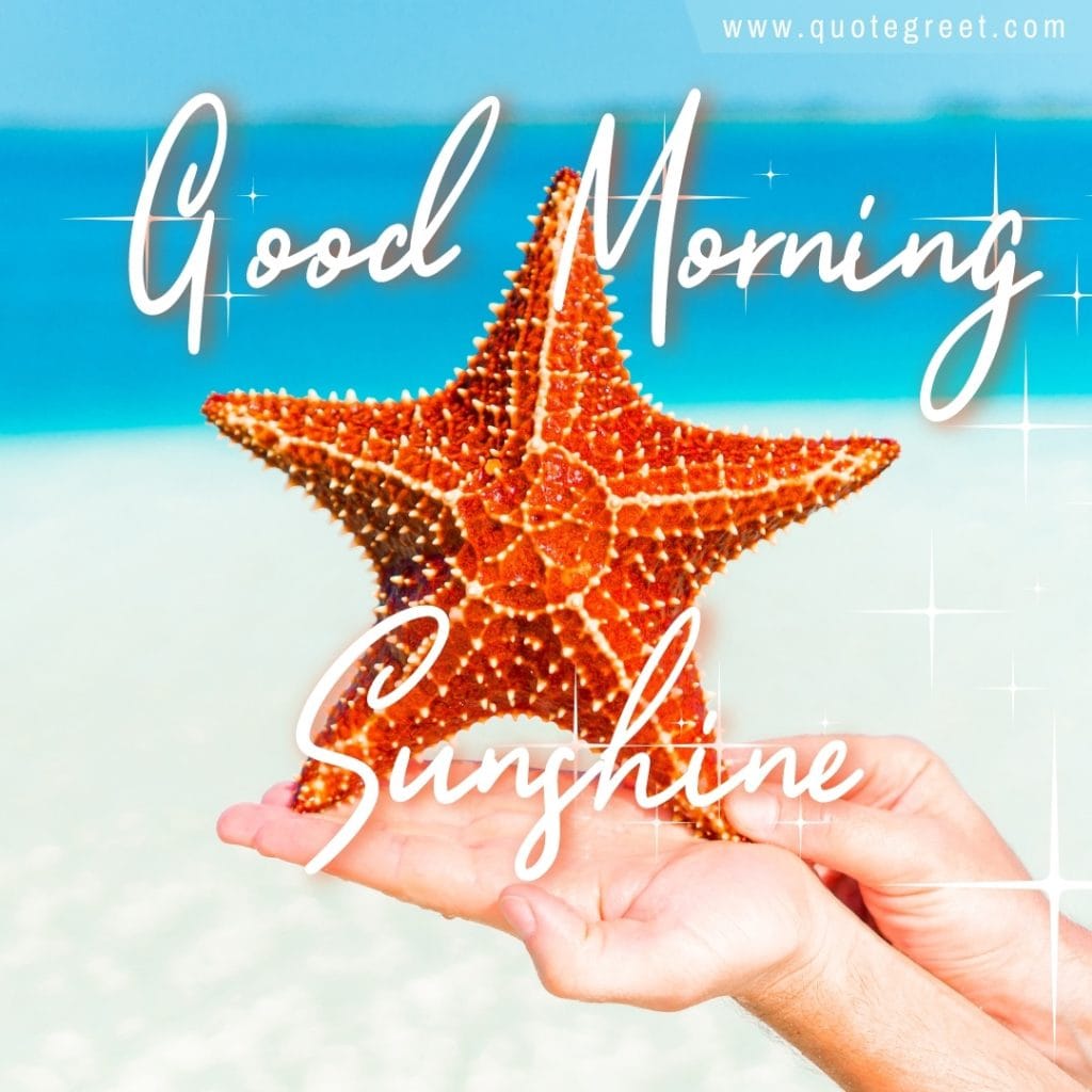 summer-beach-good-morning-sunshine-starfish-sunny-blue-nature-natural-pic-gud-image-picture-photo