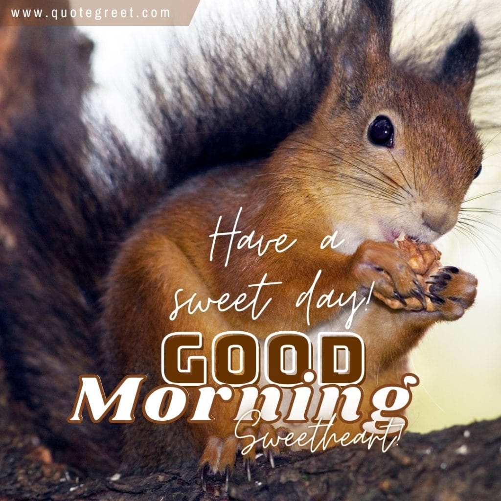 good-morning-sweetheart-squirrel-image-picture-pic-photo-gud-wishe-message-blessing