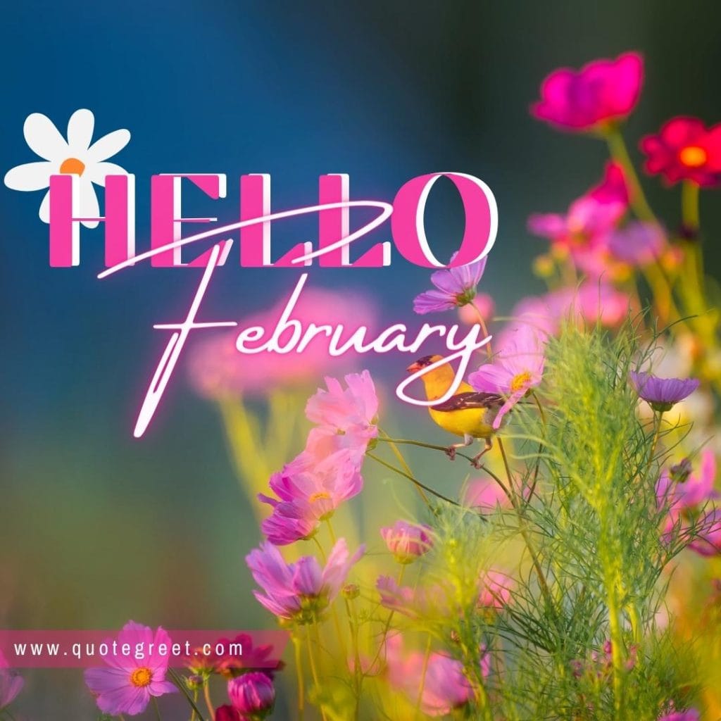 hello-february-with-red-pink-flowers-image-pic-picture.