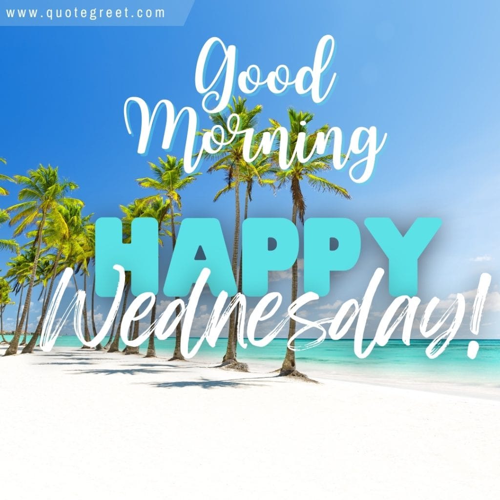 happy-wednesday-beach-good-morning-sunny-palm-trees-white-sand-maldives-nature-natural-pic-gud-image-picture-photo