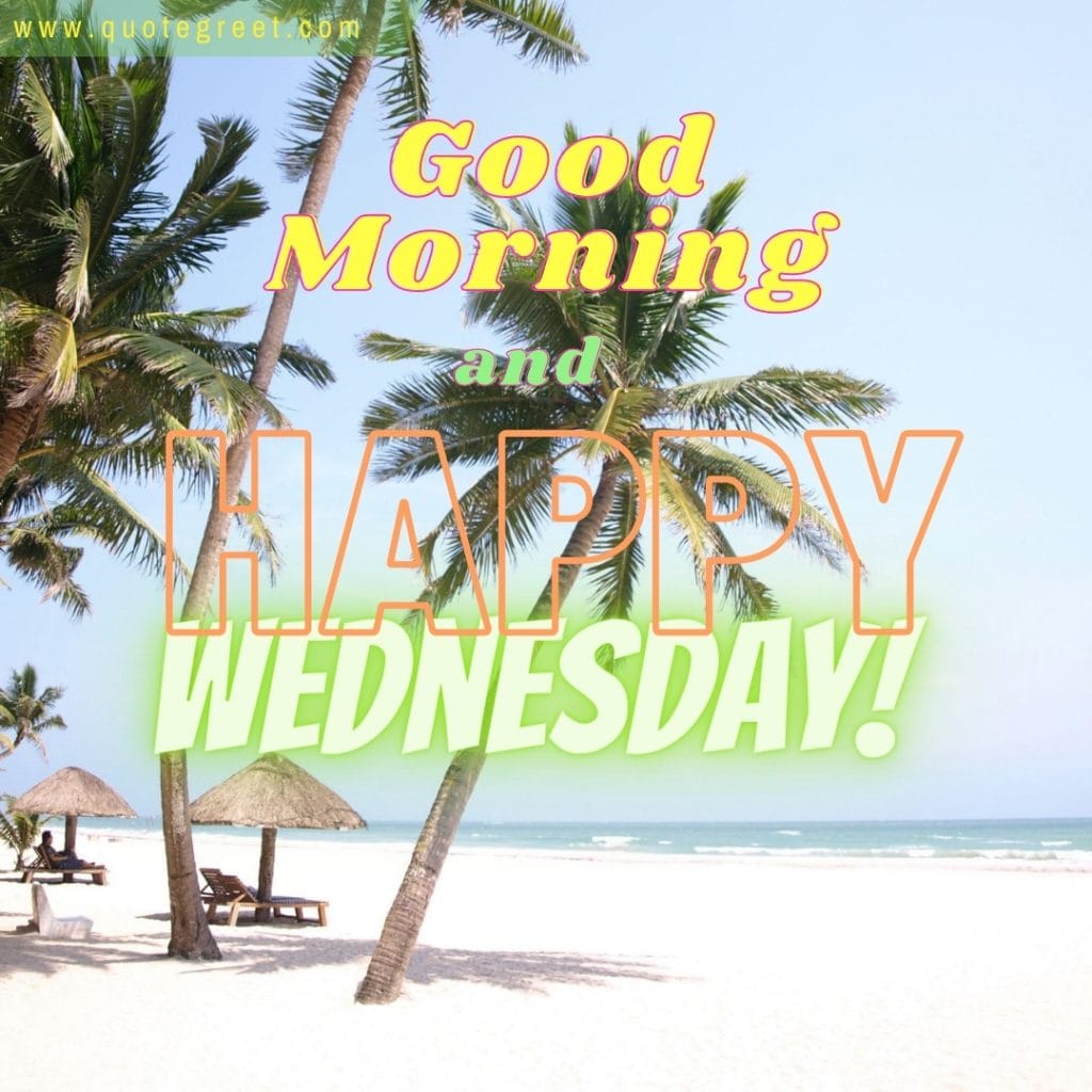 happy-wednesday-good-morning-beach-palm-trees--sunny-summer-white-sand-tropical-nature-natural-pic-gud-image-picture-photo