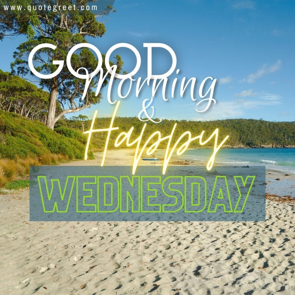 good-morning-happy-wednesday-beach-trees-sunny-nature-natural-pic-gud-image-picture-photo